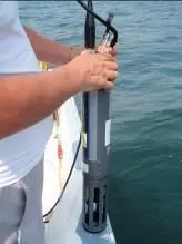 CTD