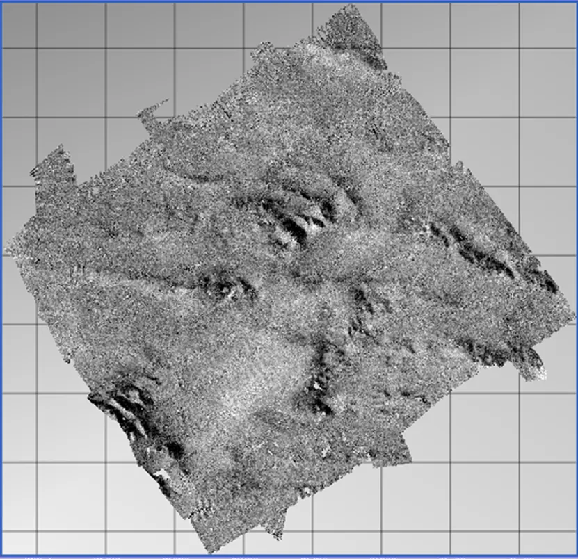 Backscatter mosaic