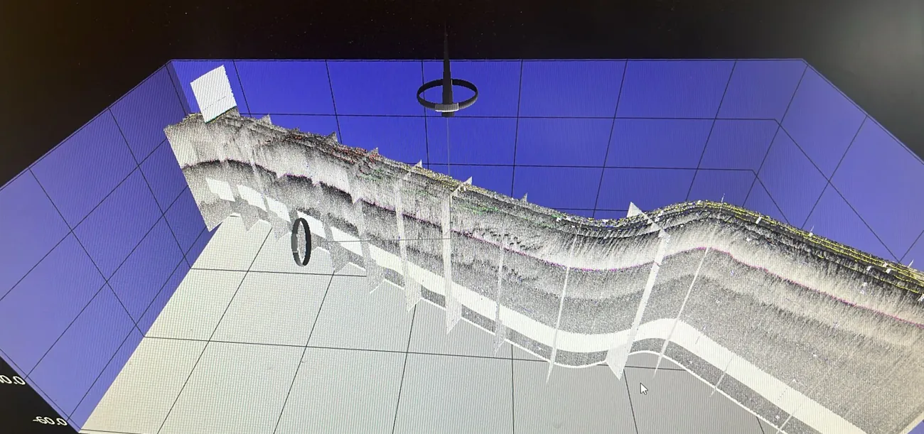 3D sub-bottom